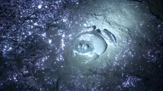 Будущее совершенное