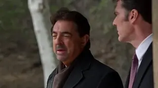 Воробей Нельсона